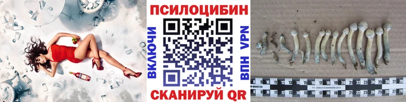 Купить где  Дагестанские Огни  Галлюциногенные грибы мухоморы 